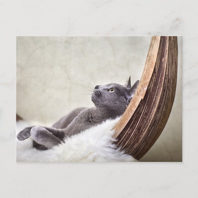 Slappna av vykort (Framsida)