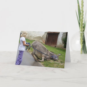 Släppt donkey kort