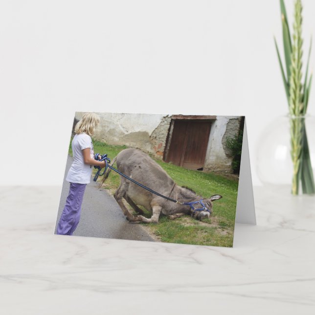 Släppt donkey kort (Framsida)