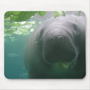 Slarvig Manateemousepad Musmatta