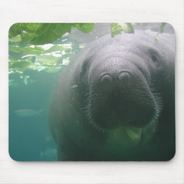 Slarvig Manateemousepad Musmatta (Framsidan)