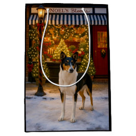 Slät Collie Semester