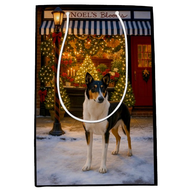 Slät Collie Semester  (Framsidan)