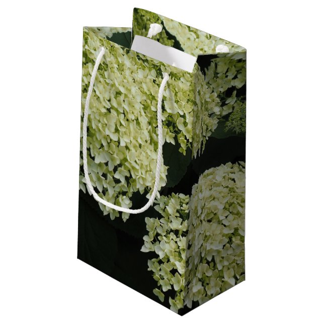 Slät Hydrangea (Baksidan Vinklad)