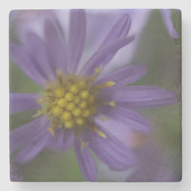 Släta blått Astor Underlägg Sten (Framsidan)