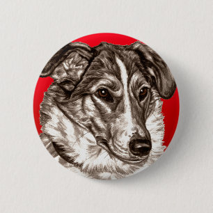 Släta Collieporträtt Knapp