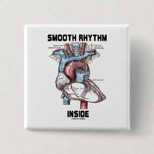 Släta rytminsida (medicinsk Anatomical hjärta) Knapp