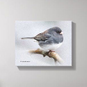 Slate Färgad Mörk-Eyed Junco på Pear Träd Canvastryck