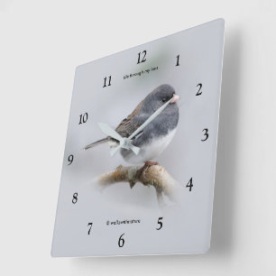 Slate Färgad Mörk-Eyed Junco på Pear Träd Fyrkantig Klocka