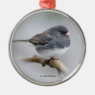 Slate Färgad Mörk-Eyed Junco på Pear Träd Julgransprydnad Metall