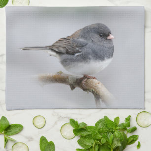 Slate Färgad Mörk-Eyed Junco på Pear Träd Kökshandduk