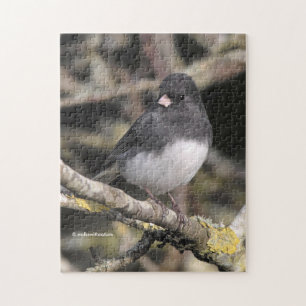 Slate Färgad Mörk-Eyed Junco på Pear Träd Pussel