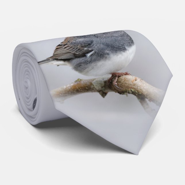 Slate Färgad Mörk-Eyed Junco på Pear Träd Slips (Rullad)