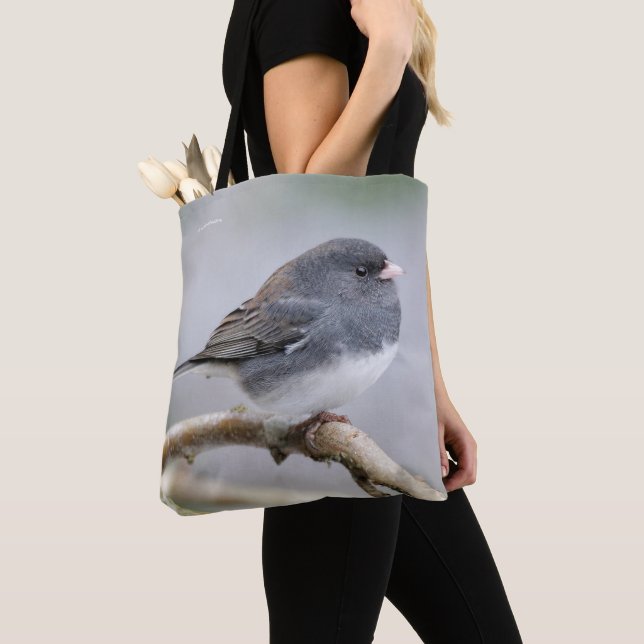 Slate Färgad Mörk-Eyed Junco på Pear Träd Tygkasse (Närbild)