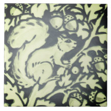 Slate Grått Grönt Squirrel Acorn Woodland Natatur