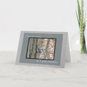 Slate Grått Nuthatch Birthday Songbird Kort