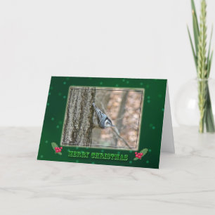 Slate Grått Nuthatch jul Songbird Helgkort