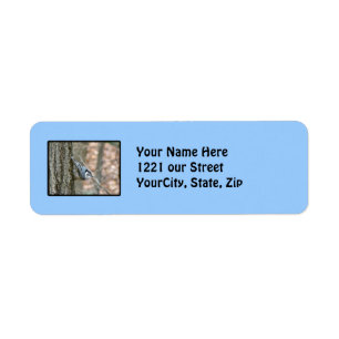 Slate Grått Nuthatch Songbird Address Label Returadress Etikett