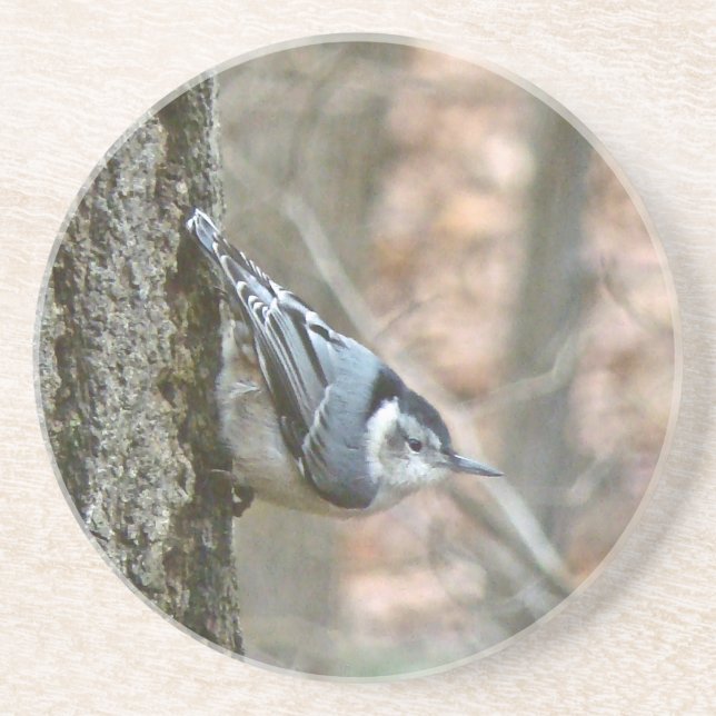 Slate Grått Nuthatch Songbird Underlägg Sandsten (Framsidan)