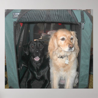 Slate och Sasha Poster