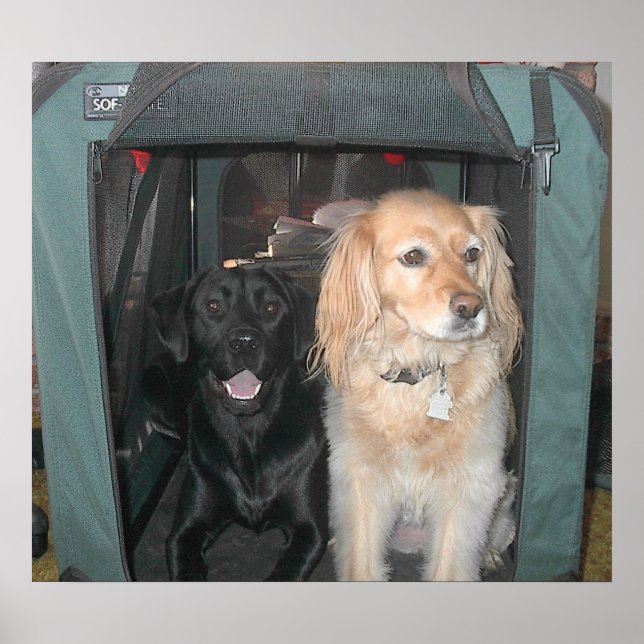 Slate och Sasha Poster (Framsidan)