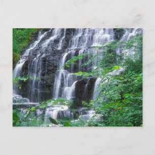 Slatestone Brook Falls Sunderland Vykort