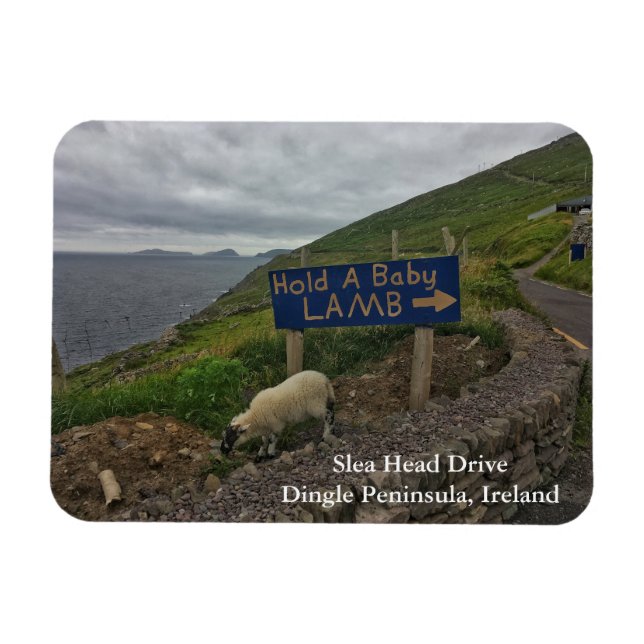 Slea Head Drive Dingle Peninsula, Ireland Magnet (Horisontell)