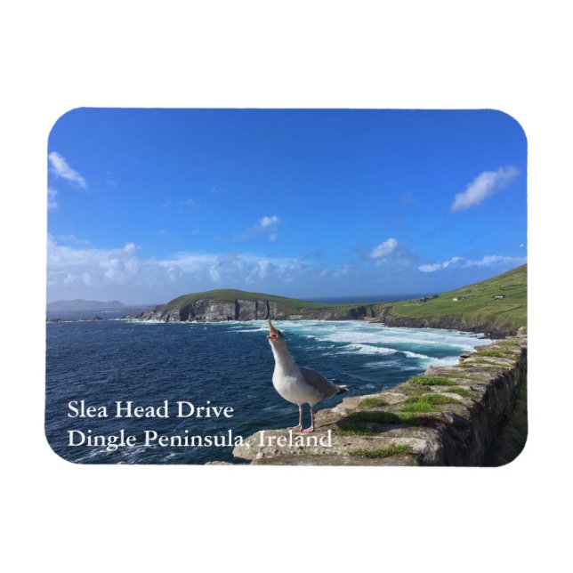 Slea Head Drive, Dingle Peninsula, Ireland Magnet (Horisontell)