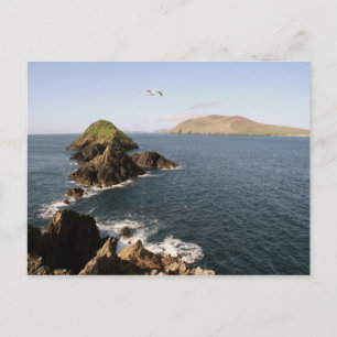 Slea Head Vykort