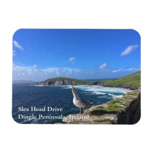 Slea huvuddrev, Dinglepeninsula, Irland magnet
