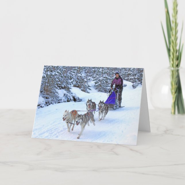 Sled Hund Tävla Kort (Framsida)