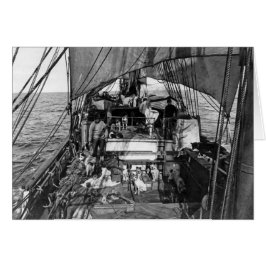 Sled Hundar till havs Hälsningskort