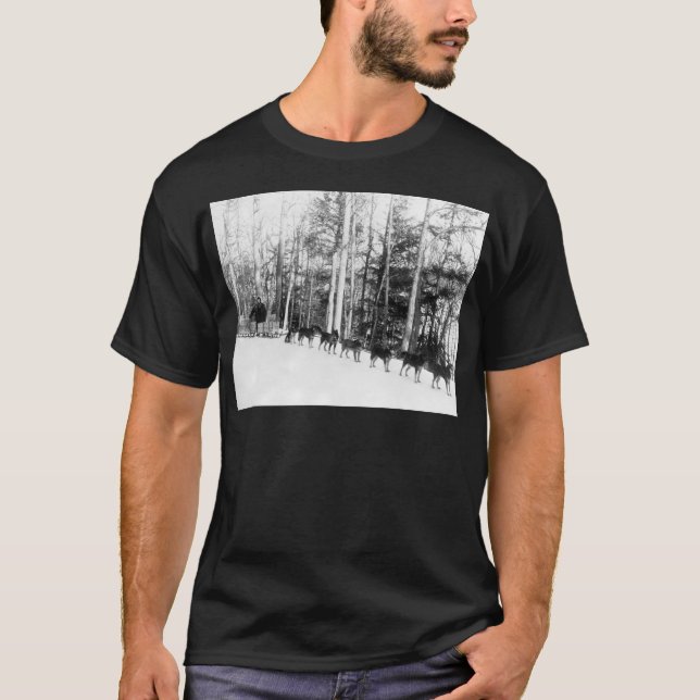 Sledding för Alaska hund Tee (Framsida)