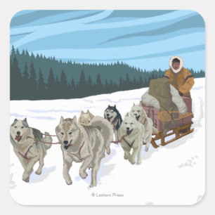 Sledding plats för hund - Yukon, Alaska Fyrkantigt Klistermärke