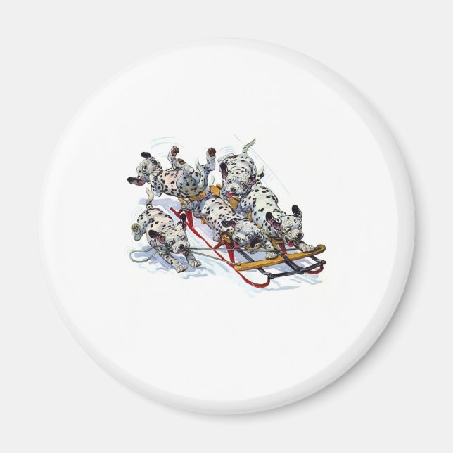 Sleding Dalmatiska Valper Magnet (Framsidan)