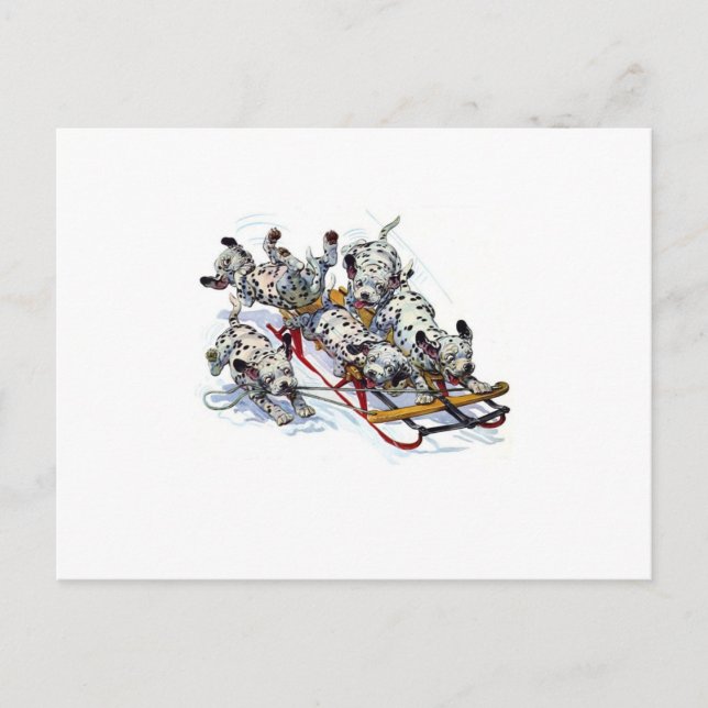 Sleding Dalmatiska Valper Vykort (Framsida)