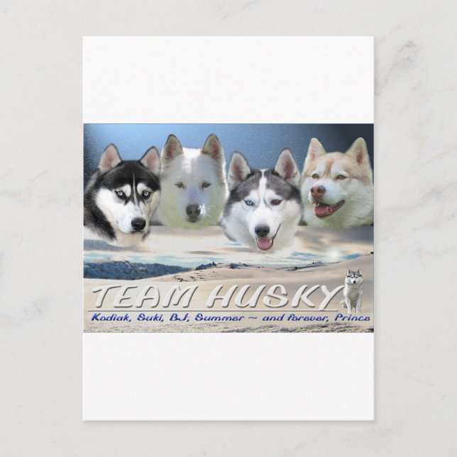 sledning av hund vykort (Framsida)
