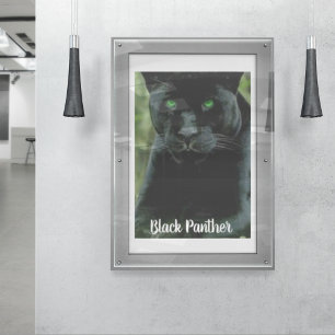 Sleek Black Panther Cat med Grönt Öga Poster