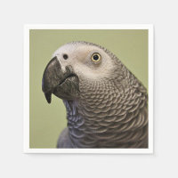 Sleek Congo African Grått Parrot