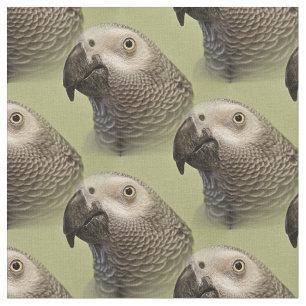 Sleek Congo African Grått Parrot Tyg
