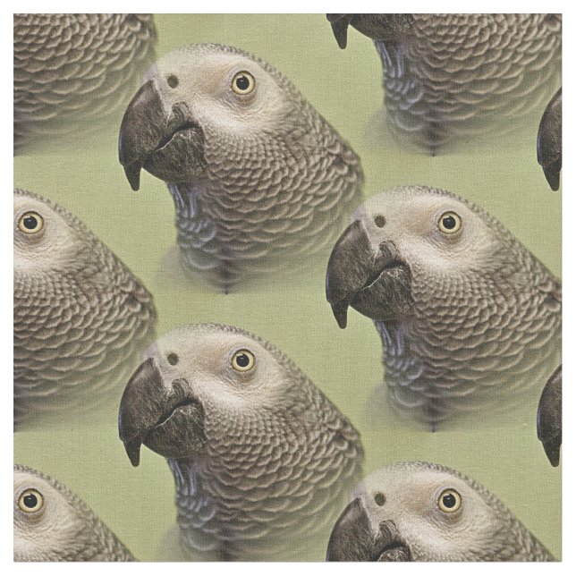 Sleek Congo African Grått Parrot Tyg (Närbild)