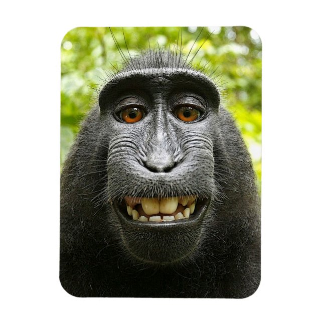 Sleende Crested Celebes Macaque Monkey Magnet (Vertikal)