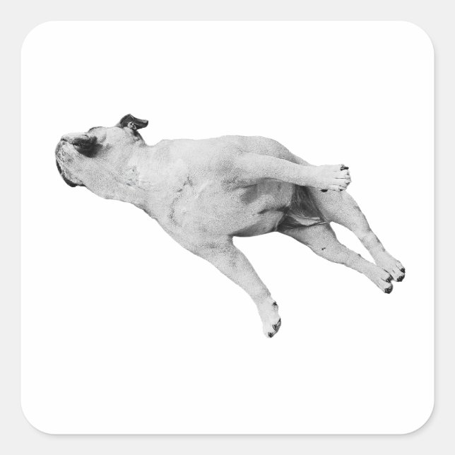 Sleeper Cutout, Noel Edition Fyrkantigt Klistermärke (Framsida)