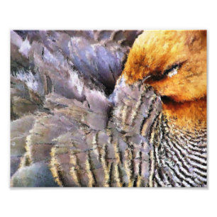 SLEEPING ANKA FOTOTRYCK