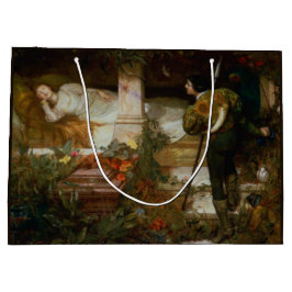 Sleeping Beauty (Loving Romantic Fairy Tale Scene)