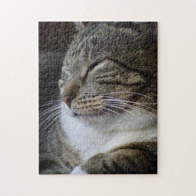 Sleeping Beauty - Tabby Cat Pussel (Vertikal)