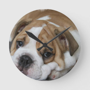 Sleeping Bulldog Clock Rund Klocka