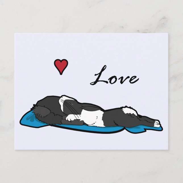 Sleeping Bunneh Vykort (Framsida)