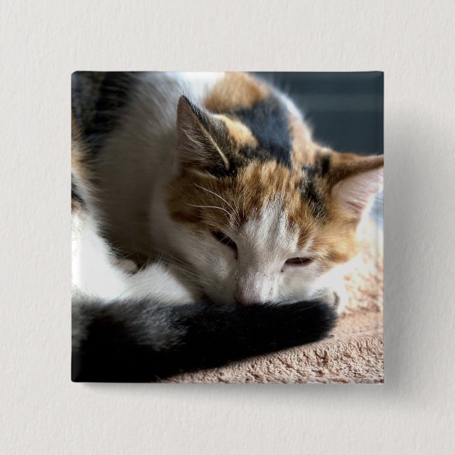 Sleeping Calico Knapp (Framsida)