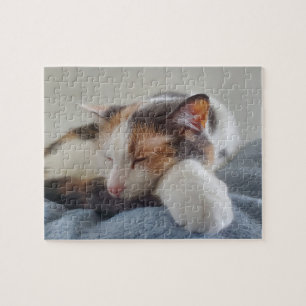Sleeping Calico Pussel